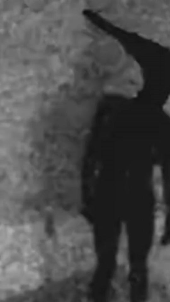 Post 2 by Inchworm Films on TikTok (video)