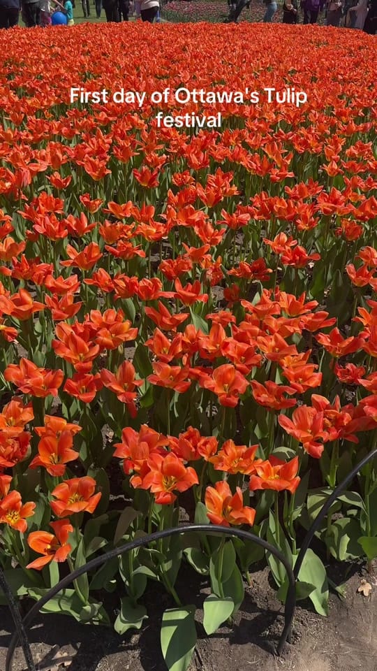 Post 3 by Em on TikTok (video)