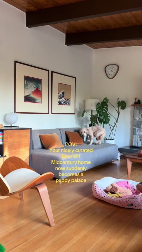 Post 4 by Emily on TikTok (video)