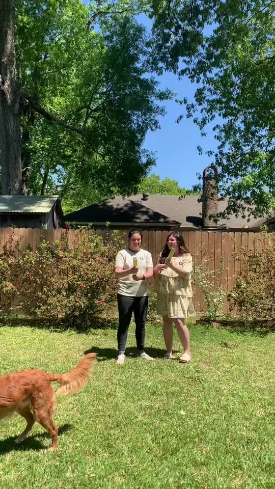 Post 9 by Chelsea Chifici Derise on TikTok (video)