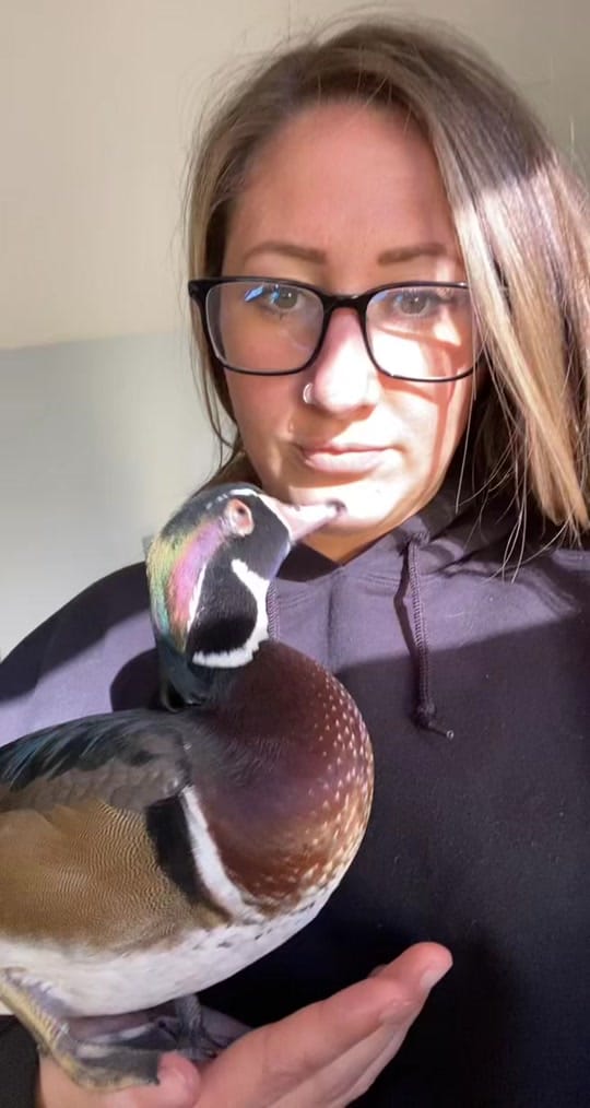 Post 3 by Chelsea Eager on TikTok (video)