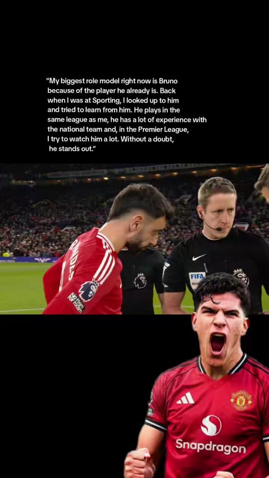 Post 1 by UNITEDSTANDFANS on TikTok (video)