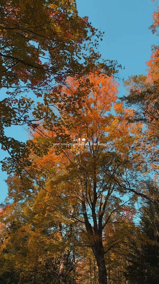 Post 1 by dej ☁️ on TikTok (video)