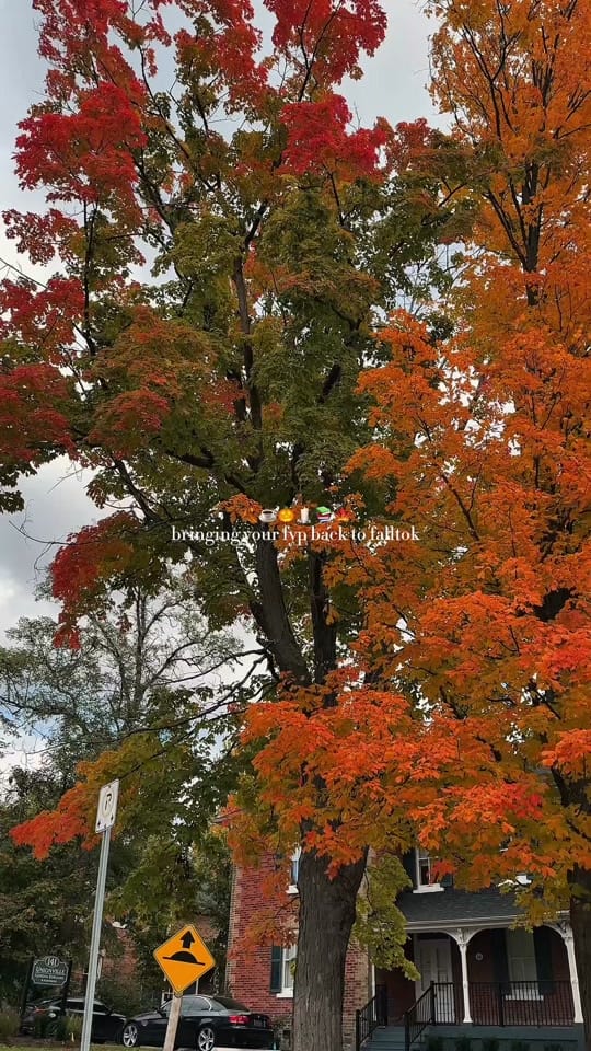 Post 10 by dej ☁️ on TikTok (video)