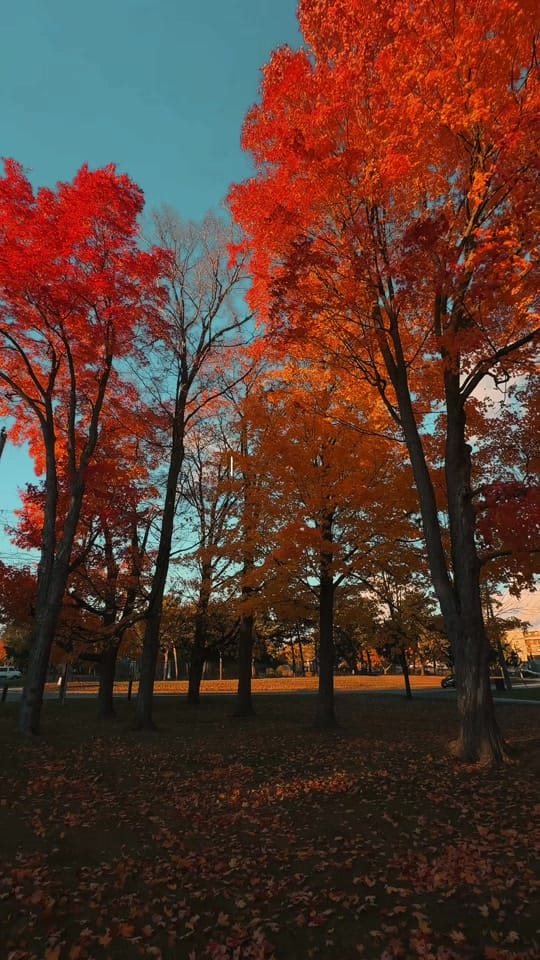 Post 3 by dej ☁️ on TikTok (video)