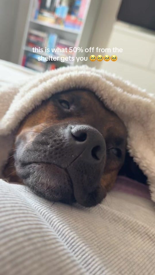 Post 5 by Brooklyn Fust on TikTok (video)