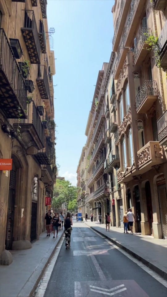 Post 5 by Ashna on TikTok (video)
