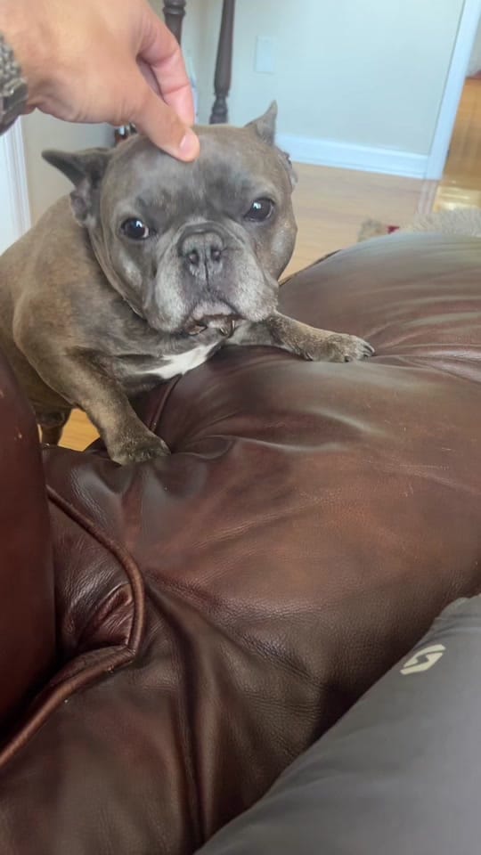 Post 1 by Paul Ogletree on TikTok (video)
