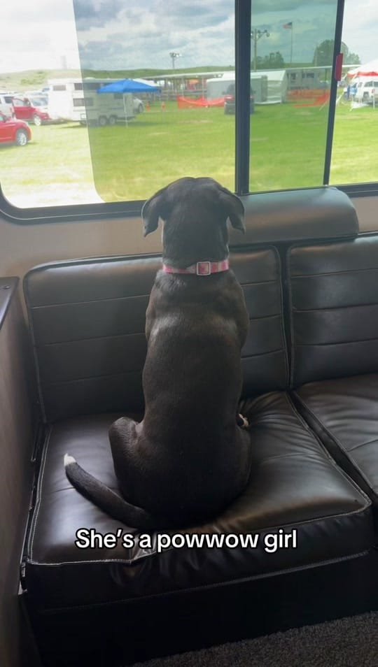 Post 2 by Tonia Jo Hall on TikTok (video)