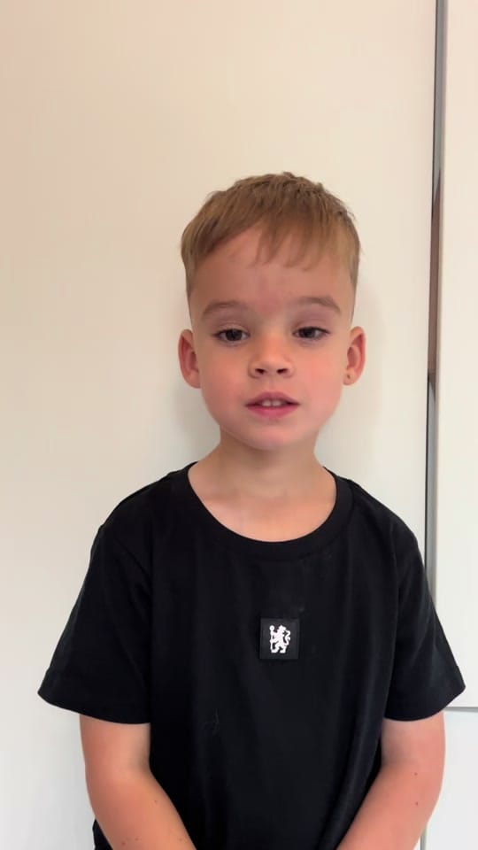 Post 8 by mini_palmer on TikTok (video)
