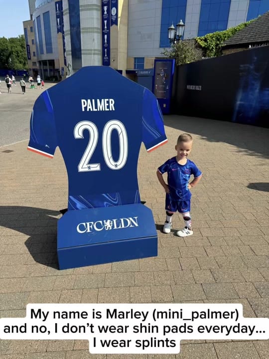 Post 10 by mini_palmer on TikTok (video)