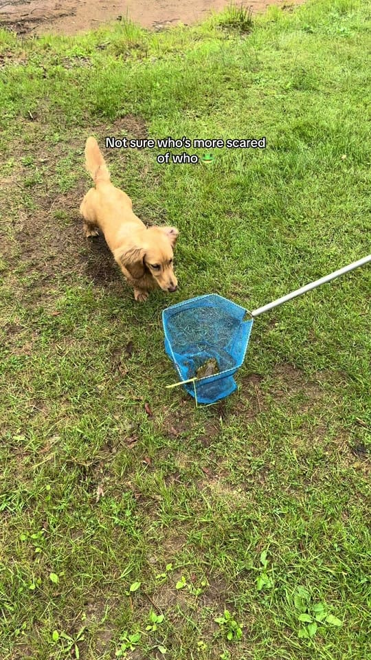 Post 8 by kyfow on TikTok (video)