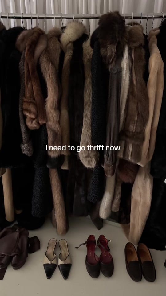 Post 7 by Sam de Notre Dame on TikTok (video)