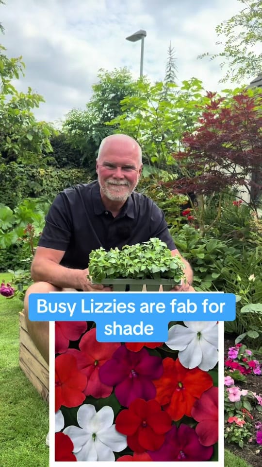 Post 1 by Adam.Woolcott on TikTok (video)