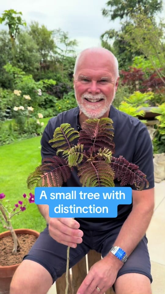Post 7 by Adam.Woolcott on TikTok (video)