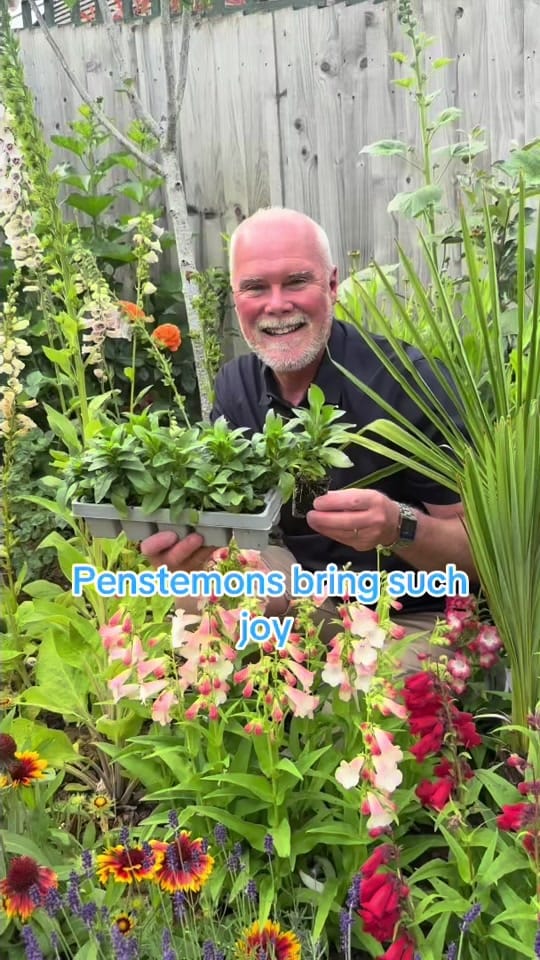 Post 2 by Adam.Woolcott on TikTok (video)