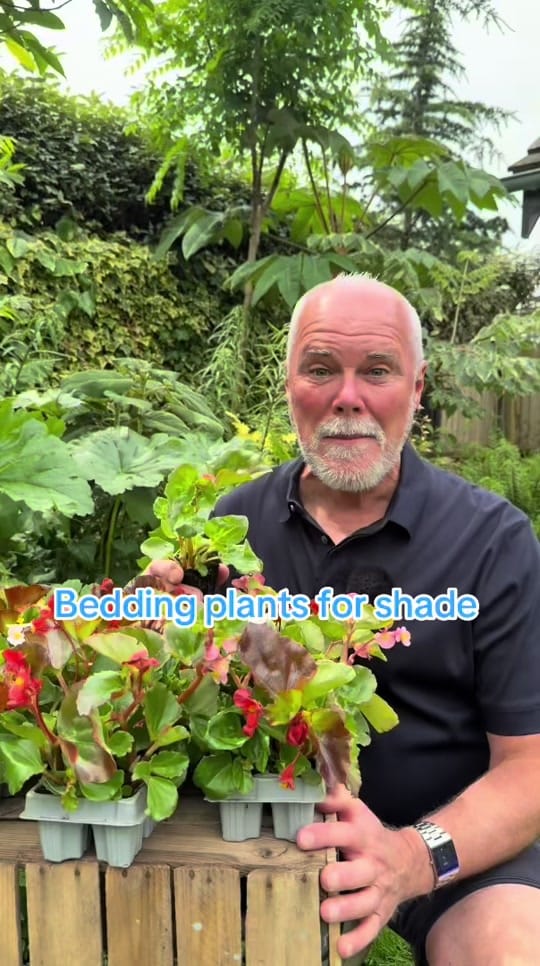 Post 6 by Adam.Woolcott on TikTok (video)
