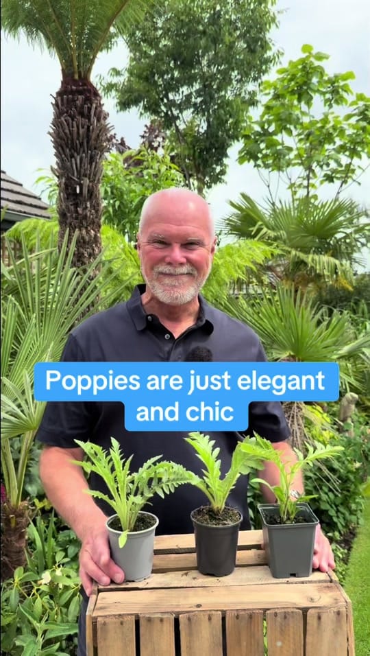 Post 9 by Adam.Woolcott on TikTok (video)