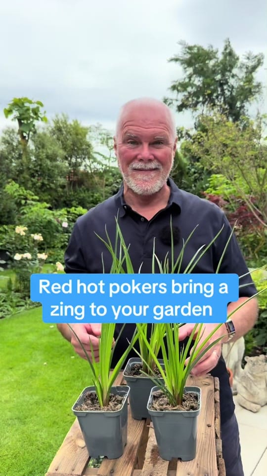 Post 8 by Adam.Woolcott on TikTok (video)