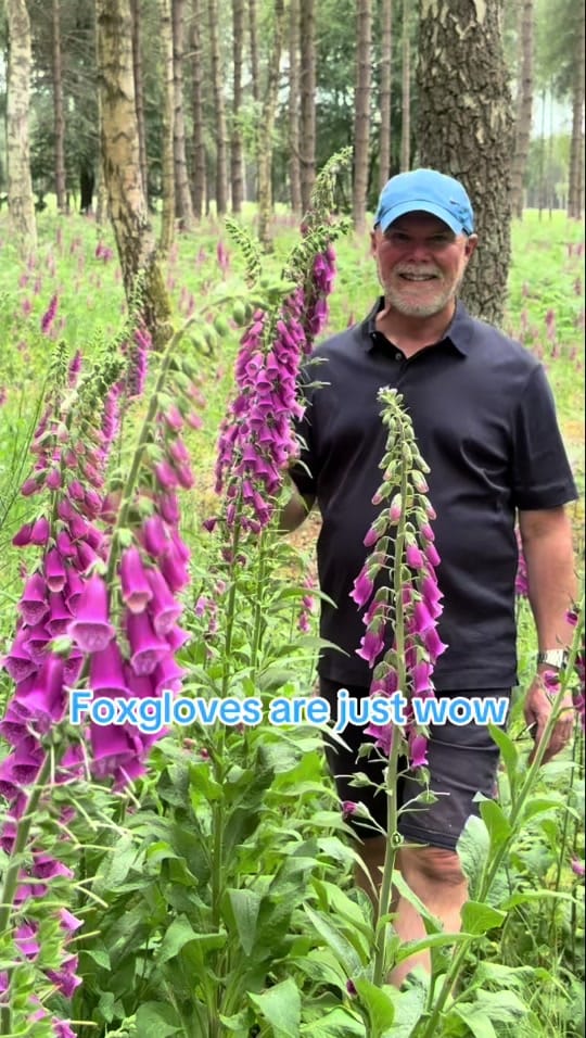 Post 4 by Adam.Woolcott on TikTok (video)
