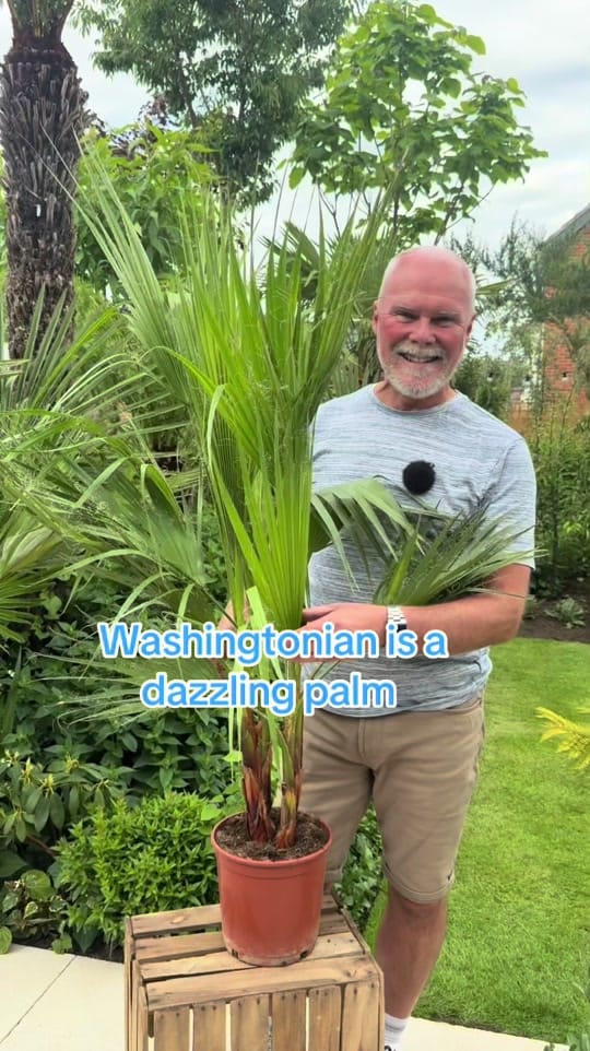 Post 3 by Adam.Woolcott on TikTok (video)