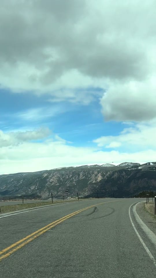 Post 7 by Dena Weingart🌻 on TikTok (video)