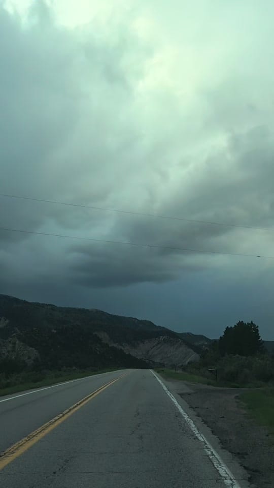 Post 1 by Dena Weingart🌻 on TikTok (video)