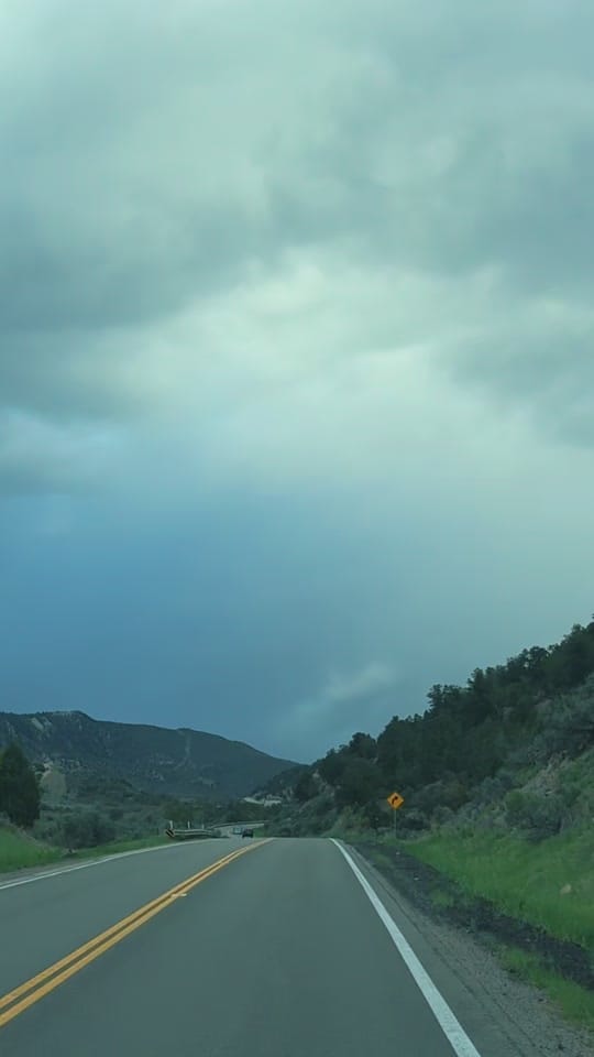 Post 2 by Dena Weingart🌻 on TikTok (video)
