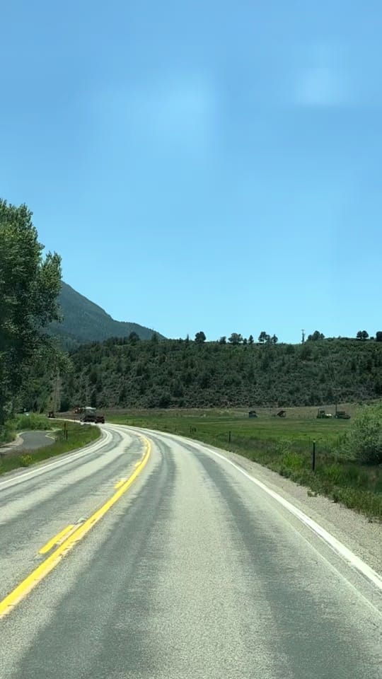Post 8 by Dena Weingart🌻 on TikTok (video)