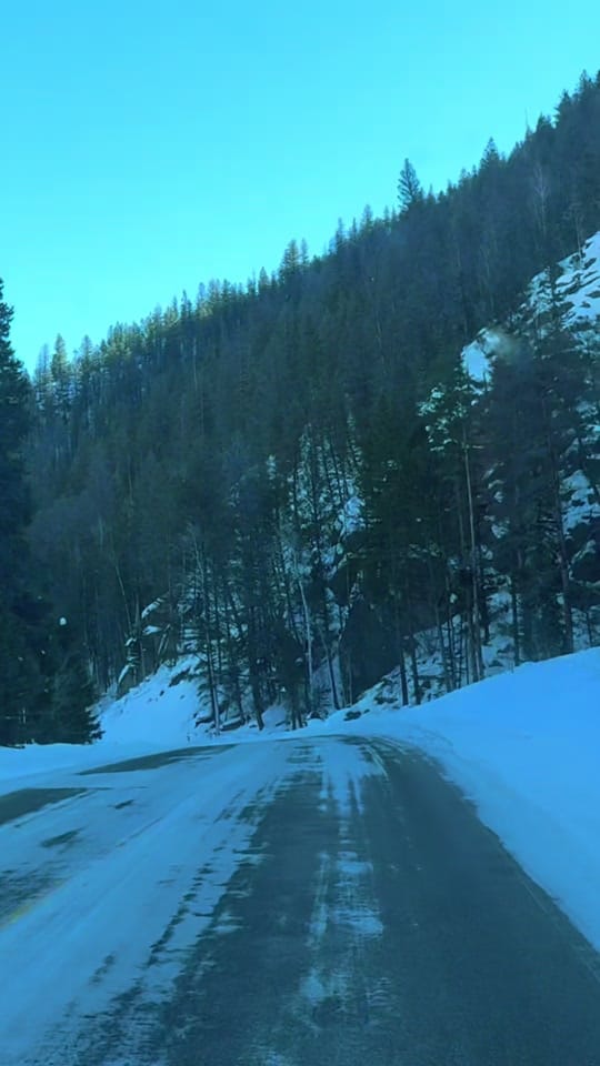 Post 9 by Dena Weingart🌻 on TikTok (video)