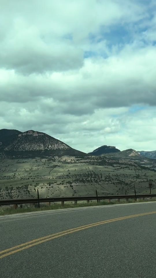 Post 4 by Dena Weingart🌻 on TikTok (video)