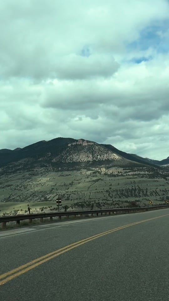 Post 5 by Dena Weingart🌻 on TikTok (video)