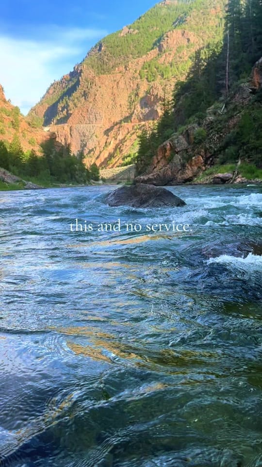 Post 10 by Dena Weingart🌻 on TikTok (video)