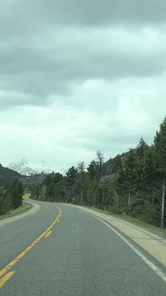 Post 3 by Dena Weingart🌻 on TikTok (video)