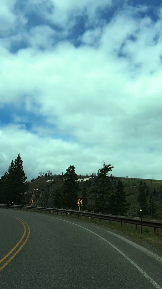 Post 6 by Dena Weingart🌻 on TikTok (video)