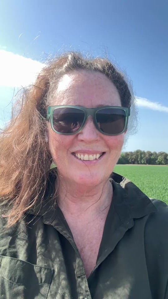 Post 4 by aliceoutthere1 on TikTok (video)