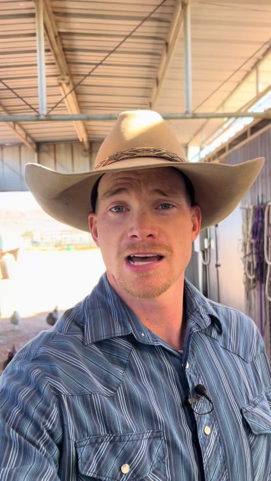 Post 3 by Dillon Jones on TikTok (video)
