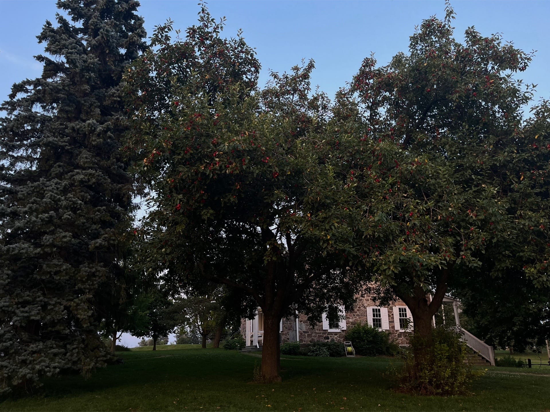 Post 3 by Isabella on TikTok (video)
