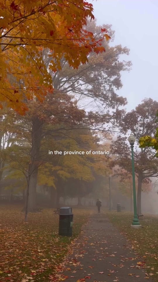 Post 10 by Natalie Lyczek 🧿 on TikTok (video)