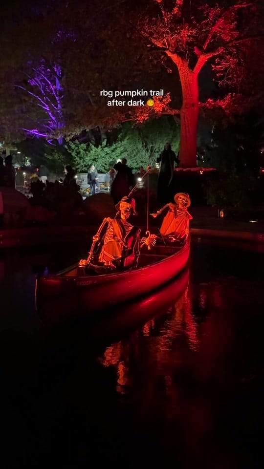 Post 5 by Natalie Lyczek 🧿 on TikTok (video)