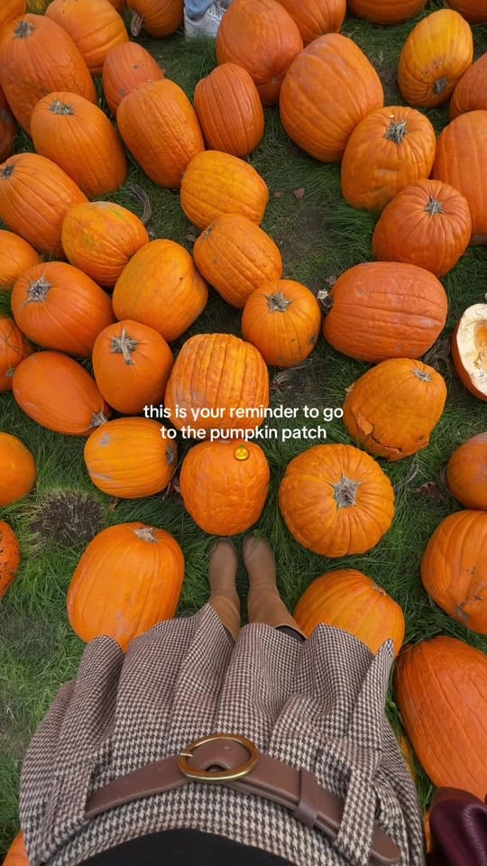 Post 8 by Natalie Lyczek 🧿 on TikTok (video)