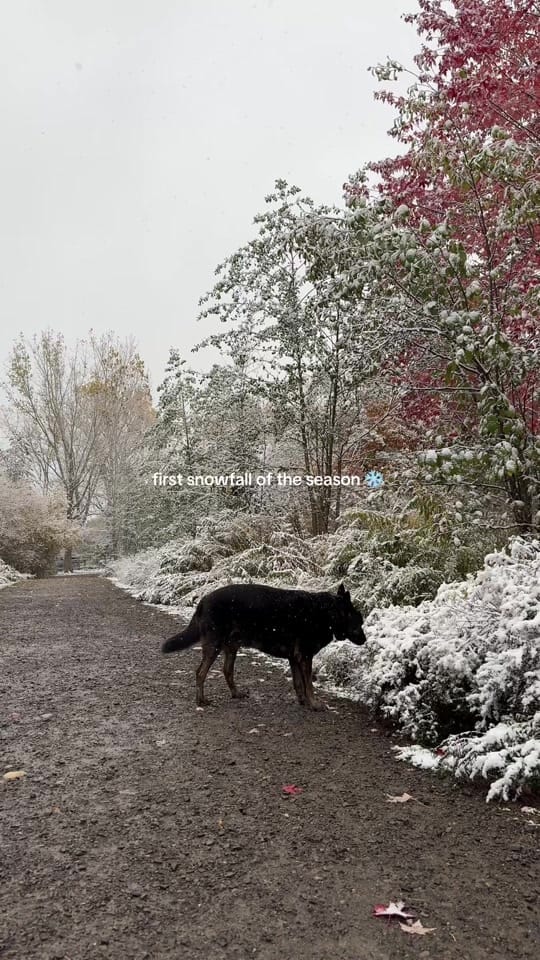 Post 2 by Natalie Lyczek 🧿 on TikTok (video)