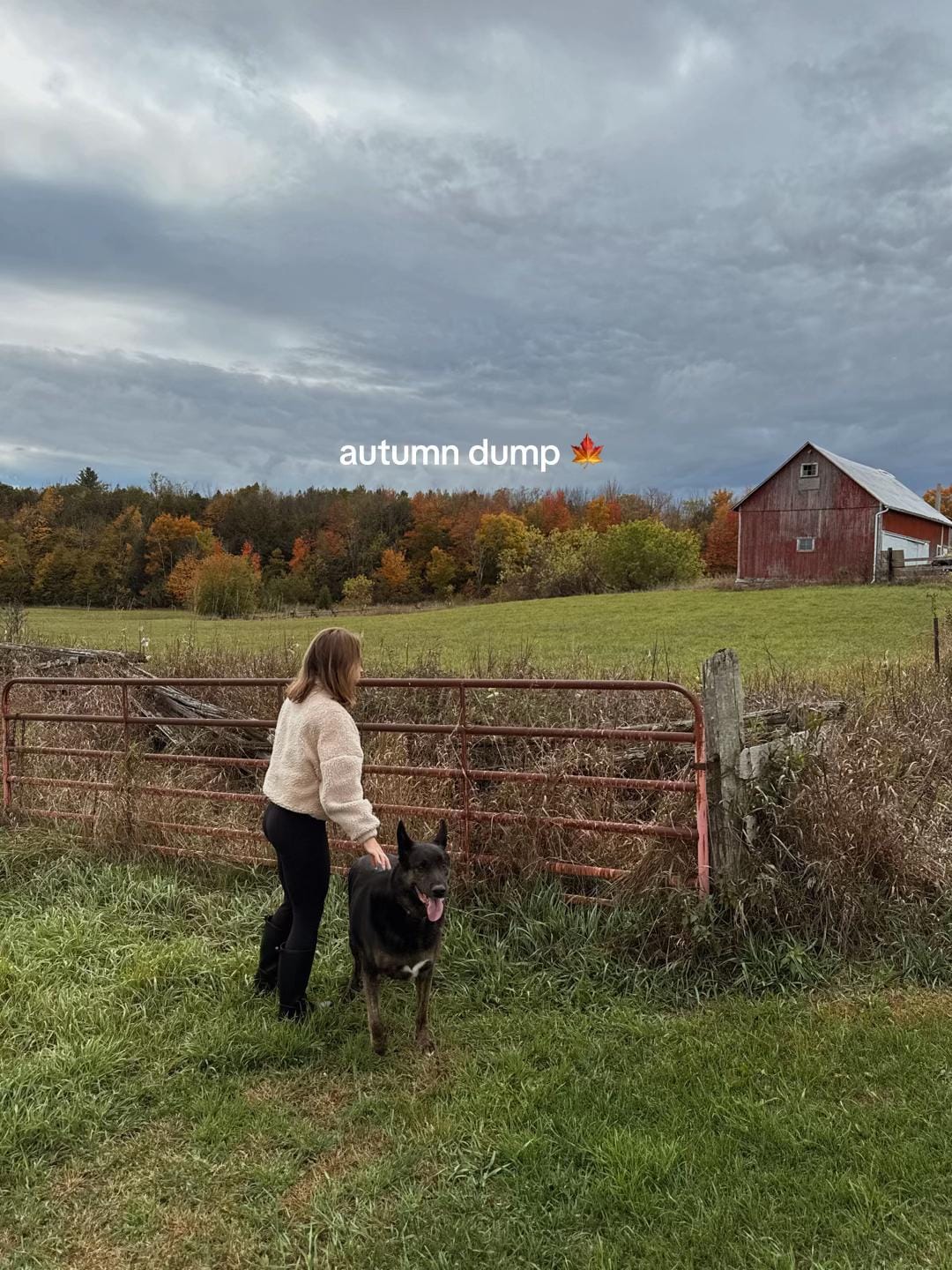 Post 3 by Natalie Lyczek 🧿 on TikTok (video)