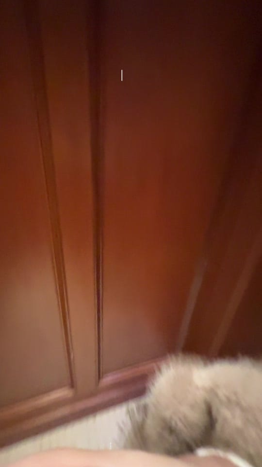 Post 8 by Jessica Cruz🪽 on TikTok (video)