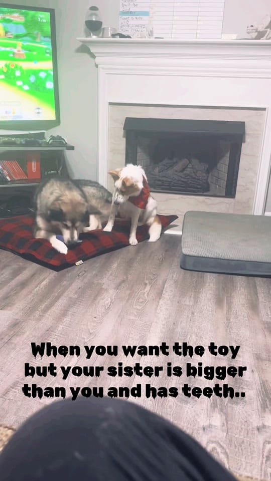Post 8 by Kayla & Kal-El on TikTok (video)