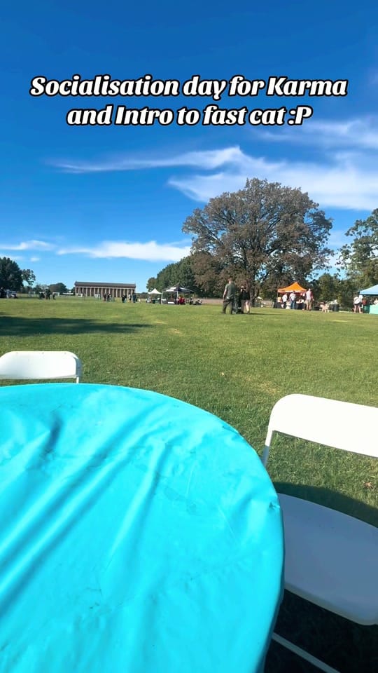 Post 6 by Kayla & Kal-El on TikTok (video)