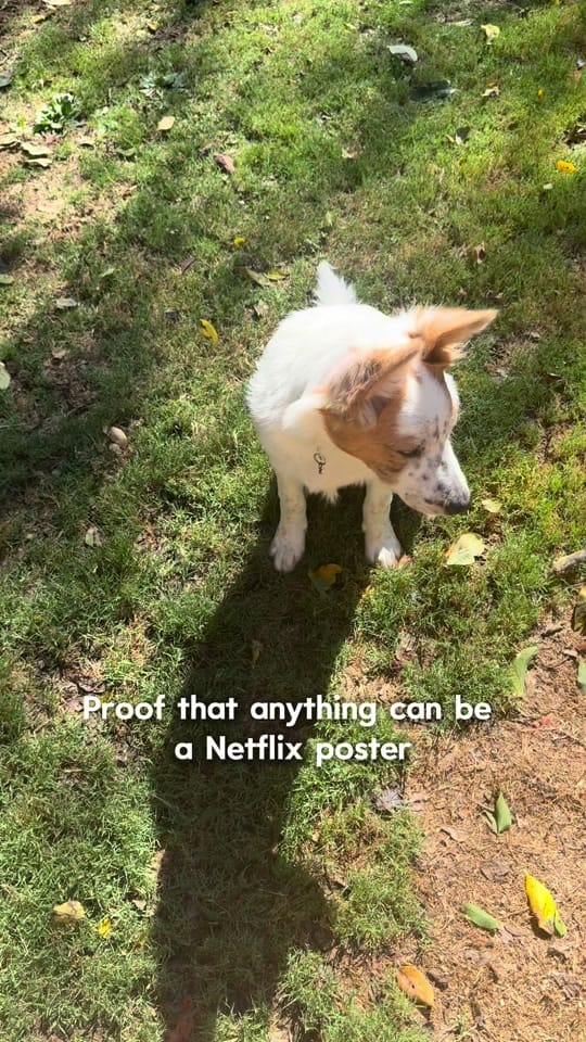 Post 5 by Kayla & Kal-El on TikTok (video)