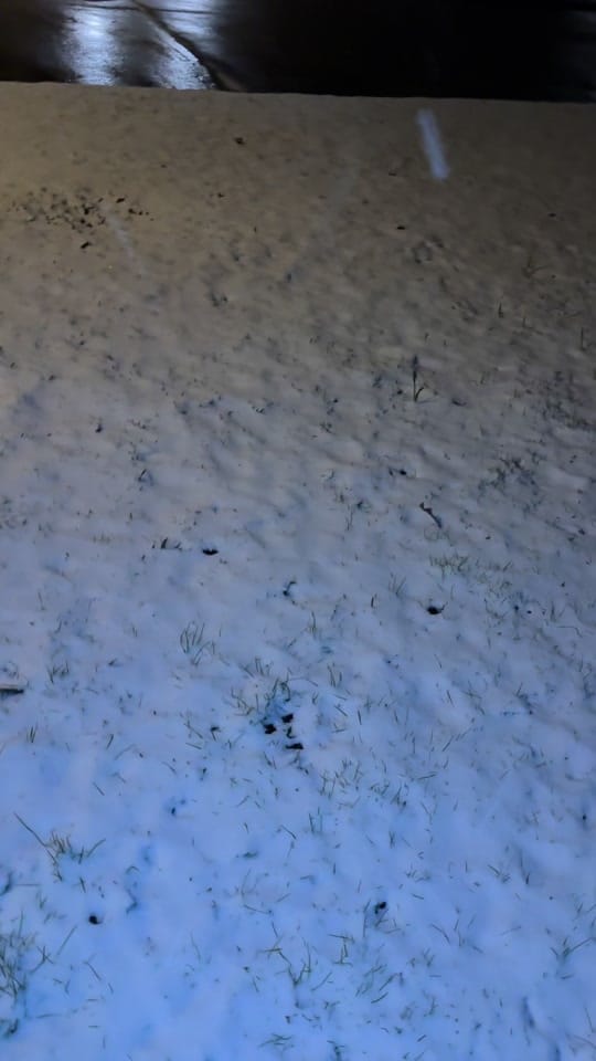 Post 5 by Marty 2 Fly on TikTok (video)