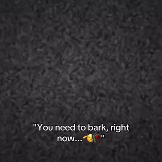 Post 7 by Adrianah Lee on TikTok (video)