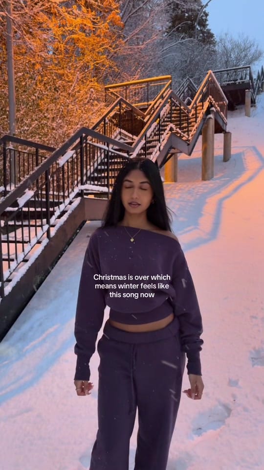 Post 5 by Vaishnavi Srikumar on TikTok (video)
